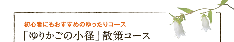 初心者にもおすすめのゆったりコース ゆりかごの小径散策コース
